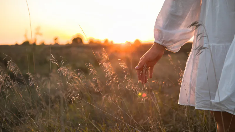 Whole — Spirit, Soul & Body Bible Study
